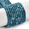 Natural Apatite Beads Strands G-G155-A01-01-1