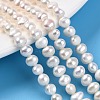 Natural Cultured Freshwater Pearl Beads Strands PEAR-N014-05L-01-1