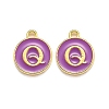Golden Plated Alloy Enamel Charms LS-ENAM-Q437-12Q-1