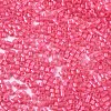 FGB 11/0 Grade A Glass Seed Beads SEED-S030-1144-2