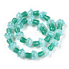 Handmade Lampwork Beads Strands X-LAMP-N024-09F-3