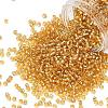 TOHO 8/0 Round Beads X-SEED-TR08-0022-1