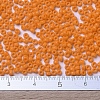 MIYUKI Round Rocailles Beads SEED-G007-RR0405-4