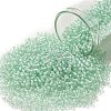 TOHO 11/0 Round Beads SEED-XTR11-1065-1