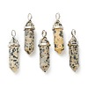 Natural Dalmatian Jasper Pointed Pendants G-M378-01P-A10-1