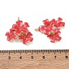 Alloy with Enamel Pendants AL-CBAE84A-05G-02-3