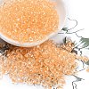 6/0 Inside Colours Fringe Glass Seed Beads SEED-A034-03C-1