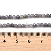 Natural Tanzanite Beads Strands G-S387-A01-3mm-5