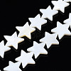 Natural Freshwater Shell Beads Strands LS-SHEL-S278-01D-01-1