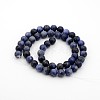Sodalite Round Bead Strands LS-G-P070-46-4mm-2