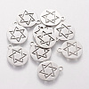 Non-Tarnish 201 Stainless Steel Charms STAS-Q201-T055-1