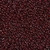 MIYUKI Round Rocailles Beads SEED-JP0008-RR2410-3