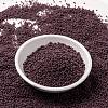 MIYUKI Round Rocailles Beads SEED-JP0010-RR0497-2