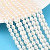 Natural Cultured Freshwater Pearl Beads Strands PEAR-D003-01D-05-1