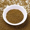 MIYUKI Delica Beads SEED-X0054-DB2110-2