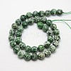 Natural Green Spot Jasper Beads Strands X-G-L148-14mm-01-2