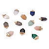Craftdady 24Pcs 12 Style Natural & Synthetic Gemstone Pointed Pendants G-CD0001-04-2