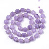Natural Amethyst Beads Strands G-N328-015-2