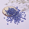 6/0 Glass Seed Beads SEED-YW0001-25E-6