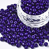 6/0 Glass Seed Beads SEED-S058-A-F304-1