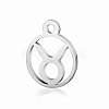 Non-Tarnish 201 Stainless Steel Charms STAS-T014-T505-2-1