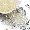 6/0 Inside Colours Fringe Glass Seed Beads SEED-A034-03I-1