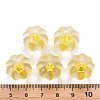 Transparent Acrylic Beads TACR-S154-19A-81-4