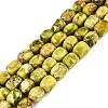 Natural Imperial Jasper Beads Strands G-N342-62J-1