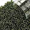 TOHO Round Seed Beads X-SEED-TR11-0037-1