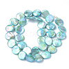Freshwater Shell Beads Strands SHEL-S274-52A-2