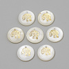 Freshwater Shell Pendants X-SHEL-Q010-012G-1
