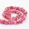 Natural Shell Bead Strands BSHE-P010-10-2
