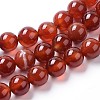 Natural Agate Beads Strands G-I261-B01-10mm-1
