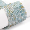 Natural Flower Amazonite Beads Strands G-F770-A03-02-2