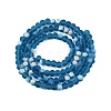 Transparent Glass Beads Strands EGLA-A044-T4mm-MB27-3
