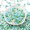 6/0 Glass Seed Beads X1-SEED-L011-08A-02-2
