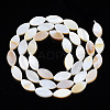 Natural Freshwater Shell Beads Strands SHEL-Q024A-017-3
