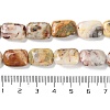 Natural Crazy Agate Beads Strands G-K357-D08-01-5