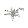 304 Stainless Steel Pendants STAS-Q349-01D-P-2