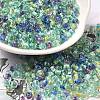 Transparent Glass Round Seed Beads SEED-B001-05A-09-1