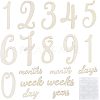 Wood Baby Milestone Numbers Signs Sets AJEW-WH0042-30-1