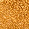 Baking Paint Glass Seed Beads SEED-L011-09A-22-3
