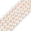 Natural Cultured Freshwater Pearl Beads Strands PEAR-I007-01D-07A-2