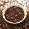 Cylinder Seed Beads X-SEED-H001-G17-3