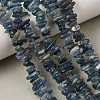 Natural Kyanite/Cyanite/Disthene Chip Beads Strands X-G-E271-78-8