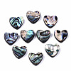 Natural Abalone Shell/Paua Shell Beads SSHEL-T014-16B-1