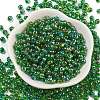 6/0 Inside Colours Fringe Glass Seed Beads SEED-A034-03G-2