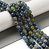 Dyed & Heated Natural Fire Crackle Agate Beads Strands G-P539-B01-02-2