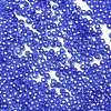 8/0 Glass Seed Beads SEED-Z001-C-E06-3