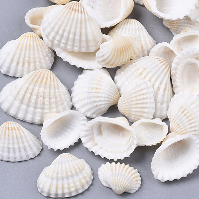 Natural Shell Beads SSHEL-S258-73-1